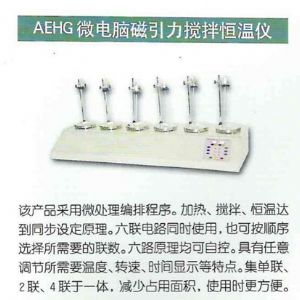 AEHG微電腦磁引力攪拌恒溫儀